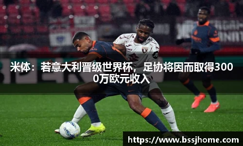米体：若意大利晋级世界杯，足协将因而取得3000万欧元收入